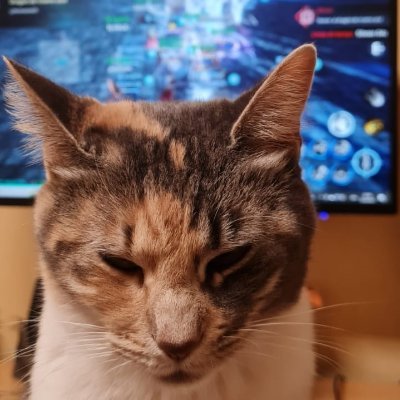 BergoDCA's profile picture. no