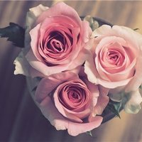 るか (@ruka830483) 's Twitter Profile