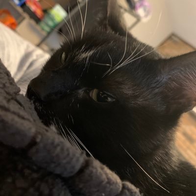 goddamnedrats's profile picture. it’s my burning, yearning need to bleed through the spillsways.