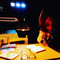 Ruskis (@ruuuskis) 's Twitter Profile Photo