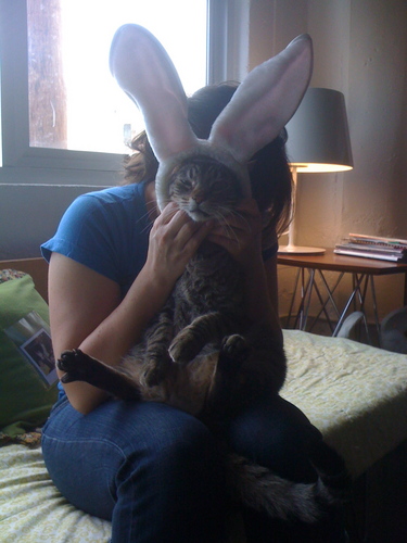 yokohamajones's profile picture. 