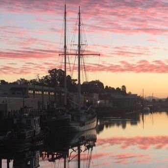 SandraNica57686's profile picture. Available  for love 😋❤
Love ❤