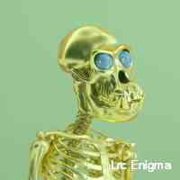 lrcenima82's profile picture. Vast agency is a leading web3 marketing agency that helps brands achieve their nft and metaverse aspirations. 🚀