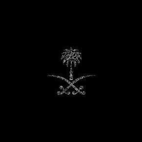 z1izo's profile picture. 