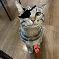 Swag21lol (@swag21lol) Twitter profile photo