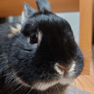 android19741214's profile picture. 