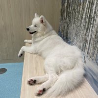ku (@20171221ku) 's Twitter Profile