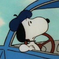 indigo (@helloindigooo) 's Twitter Profile