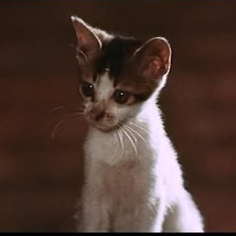 nora25dragon's profile picture. グローバルな時代を受け止め生きる者。仕事、家事、育児の毎日を生きる男。