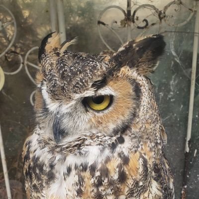 まつさんのプロフィール画像