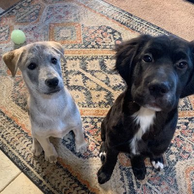 KimberlyP67609's profile picture. 