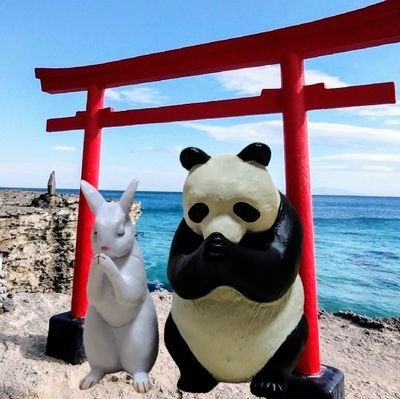 PANDA153232's profile picture. 趣味の御朱印巡り、日々の色々つぶやいてます✨⛩️　　　
DMの返信はしません😥💦🙈🙉🙊🐰🐼