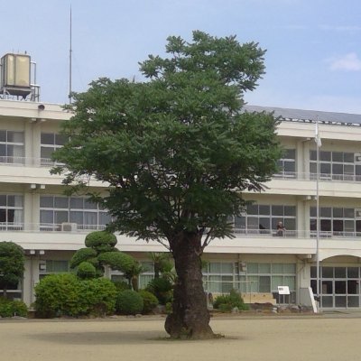 ilyf01's profile picture. TikTokやYouTubeに動画を上げたり配信したり。少しずつあれこれやりたいと思っています。