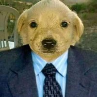 M3r0 (@m3rit0_) 's Twitter Profile