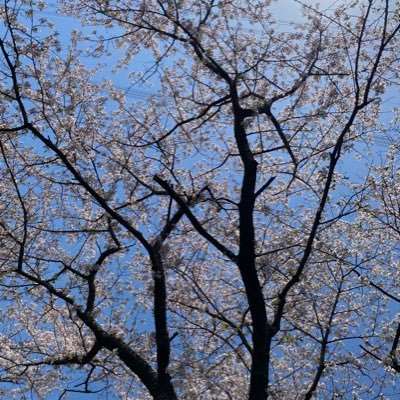 あやさんのプロフィール画像