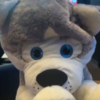 Bear Trudell (@beartrudell) 's Twitter Profile Photo