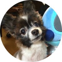 仕事の森🌳日記 (@shigotonomorirt) 's Twitter Profile Photo 仕事の森🌳日記 (@shigotonomorirt) 's Twitter Profile Photo