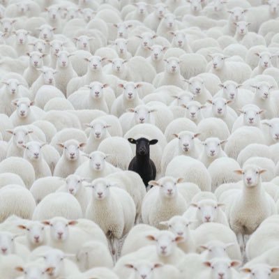 MaxBeenBallin's profile picture.