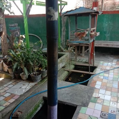 sugiarto_r23241's profile picture. 