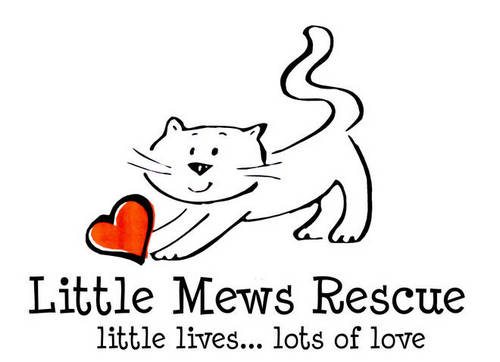LittleMews's profile picture. Little Mews is a cat rescue located in Lenawee County, MI