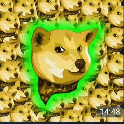 Gio224221228317's profile picture. 