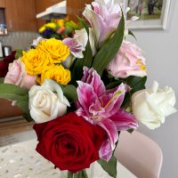 Suzanne Murray (@suzanne54344853) 's Twitter Profile