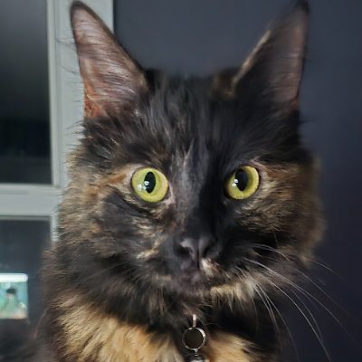 Inbread Fidoughさんのプロフィール画像