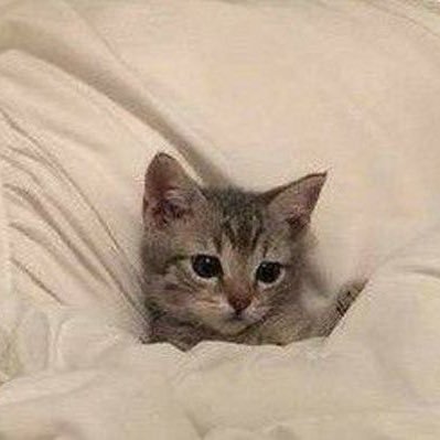 bbazxr's profile picture. 