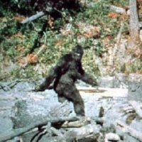 Justin Ape (@justin_ape_) 's Twitter Profile