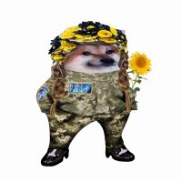 Polly (@gardengnomen) Twitter profile photo