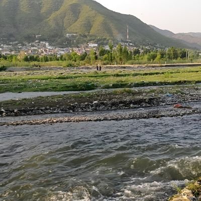 FictionMe2's profile picture. Freelancer 
AI Expert
Online Earning