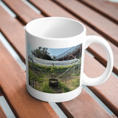 ilovenougyou's profile picture. 2023年にサラリーマンですが兼業で農業を始めます。とても小さなぶどう農園を経営していきます。全てシャインマスカットです。同時にいろいろな作物をマンションで育成します。農業を盛り上げて地方創生へ！いろいろ情報交換できれば嬉しいです。