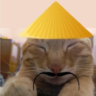 Gorritoteemo's profile picture. 🈳🈯㊙️㊗️🈚