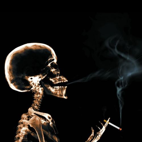 hal6230's profile picture. ♂/B/モノノフ/高城れに/タフ民