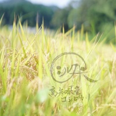 0mki_m's profile picture. 