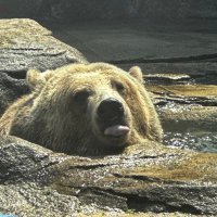 big dick gerald (@ootttttttt) 's Twitter Profile