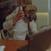 Cheque N. Blanco (@ovodonaldtrump) 's Twitter Profile
