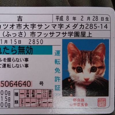 mayumix1081's profile picture. 「災害について考える」を可能な限り毎日更新して行きたいと思います
努力目標です