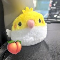めるこ (@momocnn) Twitter profile photo