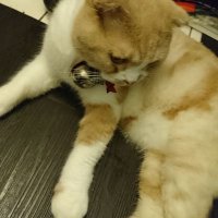 Maco Mat (@maco620323) 's Twitter Profile Photo