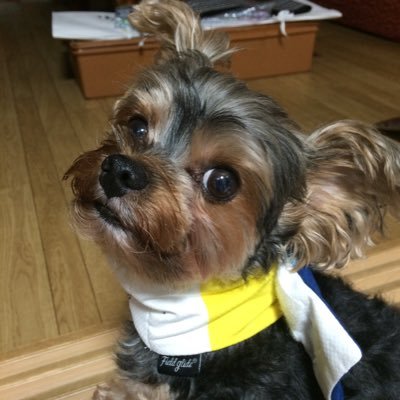 5yUyg2R2JL99516's profile picture. 愛知在住/プロダーツプレーヤー/perfect所属/JETプレーヤー/DMC Japan/L-style/FLAGS/R’s company/Rook浜松/Aqcis/PD inc./