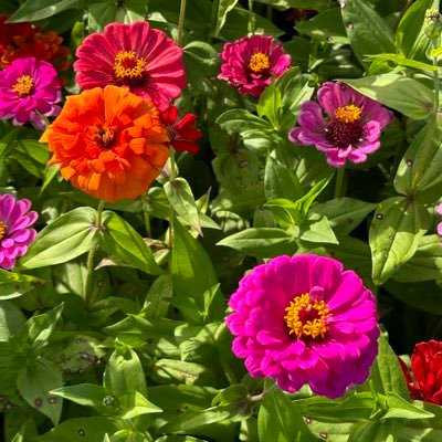 yu_openacc_39's profile picture. ゆるく裏垢男子 独身/今年で40/身長192cm/あまあま好き 裏垢活動用サブ垢 配信用アカウント→@penpen_will33