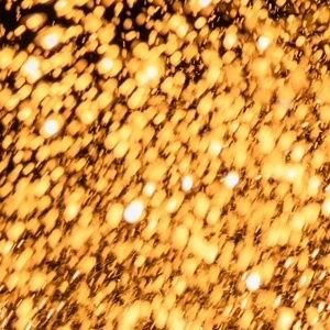 lazysunday98037's profile picture. 