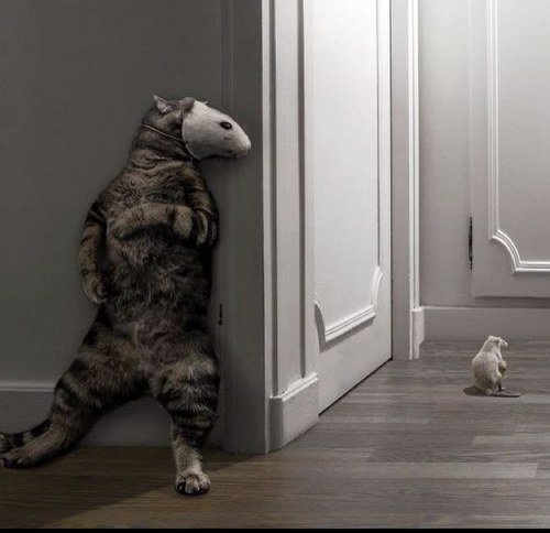 floracouhault's profile picture. 