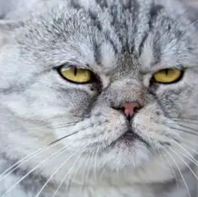 tur_KH2's profile picture. 