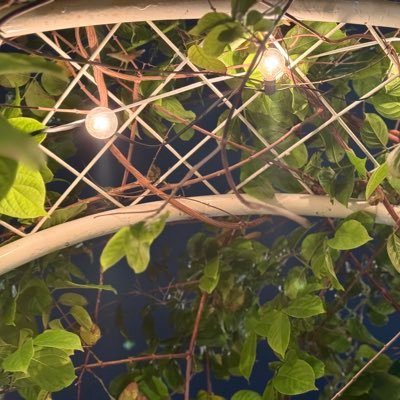 putindark89's profile picture. 