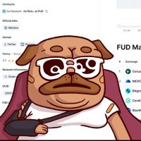 Señor Twin (@sennorrrr) 's Twitter Profile