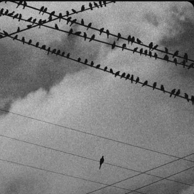 ChinonsoCh99364's profile picture. 