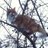 jacalyn_dv's profile image