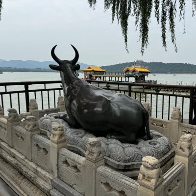 CryptoPunk_Carl's profile picture. 